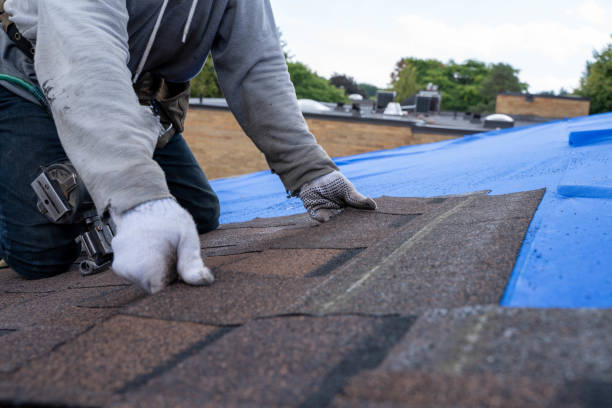 Best Storm Damage Roof Repair  in Pearland, TX